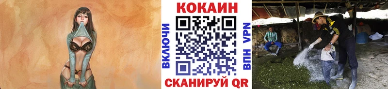 Cocaine 98% блэк спрут рабочий сайт Ардон