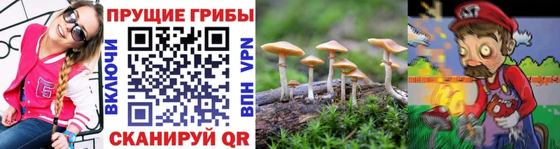 Псилоцибиновые грибы мицелий  Ардон 